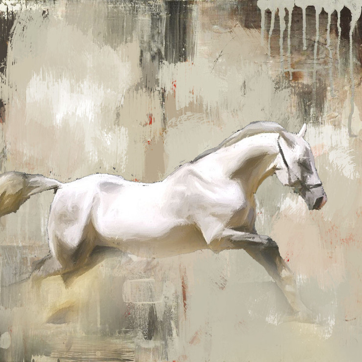 The Distance - 32in X 32in,56Anm16_3232,Community Artists Group,white horse,Canvas,Oil Colors,Horse,Horses,Race,Museum Quality - 100% Handpainted