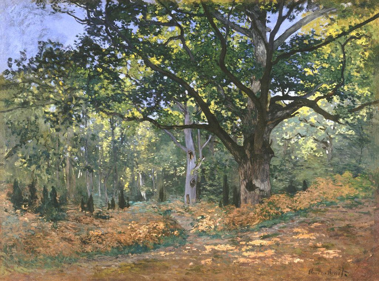 The Bodmer Oak, Fontainebleau Forest (1865) by Claude Monet
(PRT_5285) - Canvas Art Print - 22in X 16in