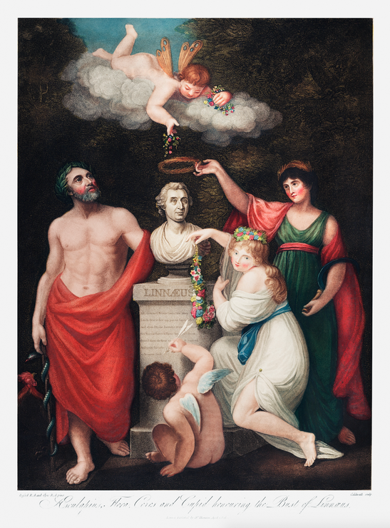 Flora, Aesculapius, Ceres, With Cupid, Honoring The Bust Of Linnaeus From The Temple Of Flora (1807) by Robert John Thornton
(PRT_5383) - Canvas Art Print - 27in X 36in