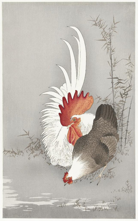 Rooster And Chicken (1900 - 1930) by Ohara Koson
(PRT_5584) - Canvas Art Print - 23in X 37in