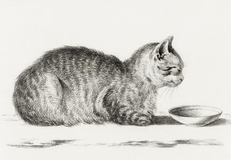 Lying Cat For A Dish (1812) by Jean Bernard (1775-1883)
(PRT_5453) - Canvas Art Print - 29in X 20in