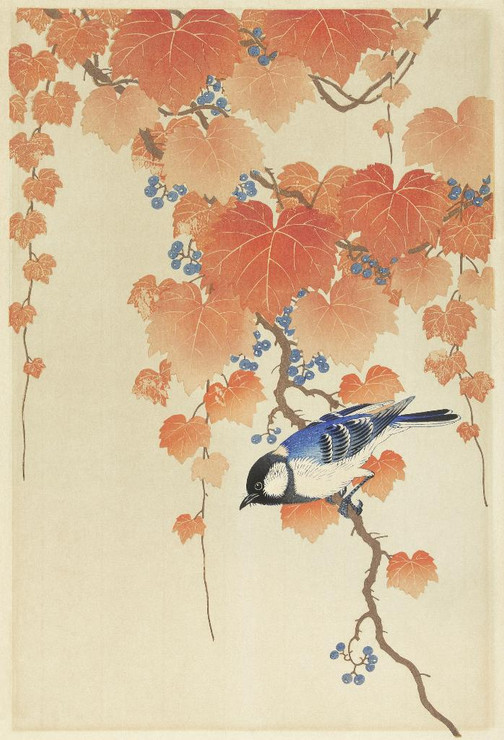 Great Tit On Paulownia Branch (1925 - 1936) by Ohara Koson
(PRT_5567) - Canvas Art Print - 23in X 33in