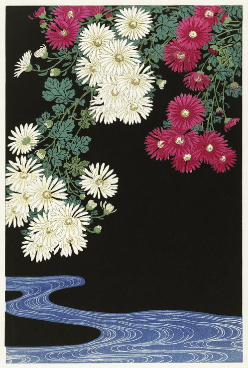 Chrysanthemums (1925-1936) By Ohara Koson (PRT_5564) - Canvas Art Print - 23in X 34in