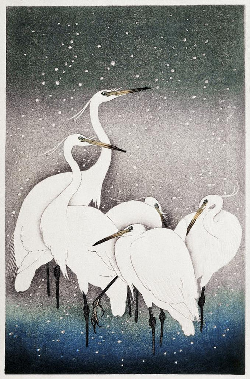 Group Of Egrets (1925 - 1936) By Ohara Koson (PRT_5568) - Canvas Art Print - 17in X 25in