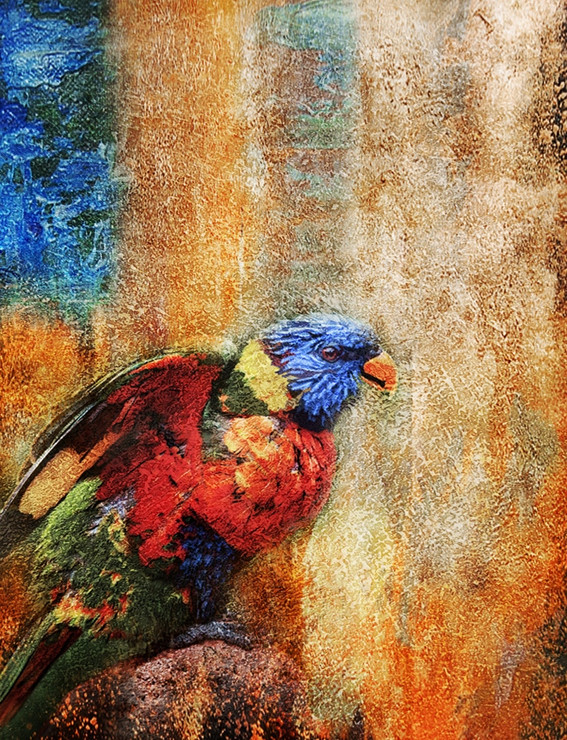 Parrot,Nice Bird,Colorful Parrot , scarlet macaws,Colorful Parrot Species