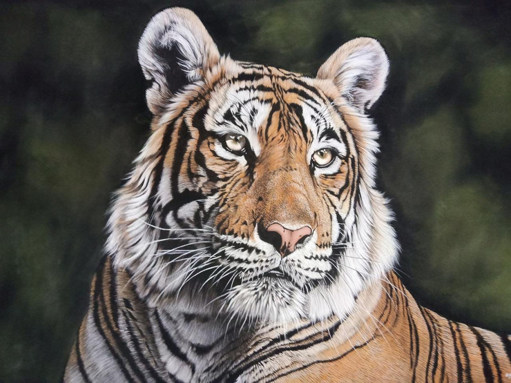 A QUIET MOMENT - BENGAL TIGER (ART_7857_53688) - Handpainted Art Painting - 36in X 24in