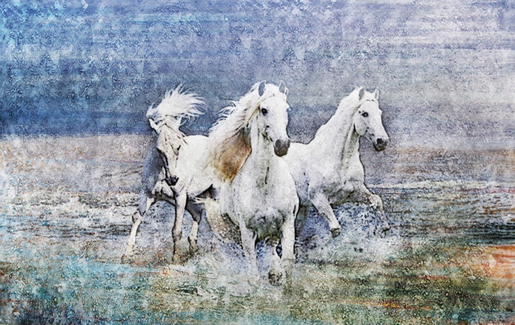 Fengshui Hores,White Horses,White Running Horses,Horse,Speed