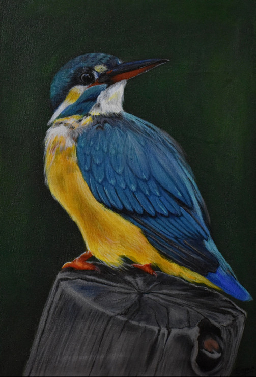 The Robin (ART_6955_55171) - Handpainted Art Painting - 13in X 19in