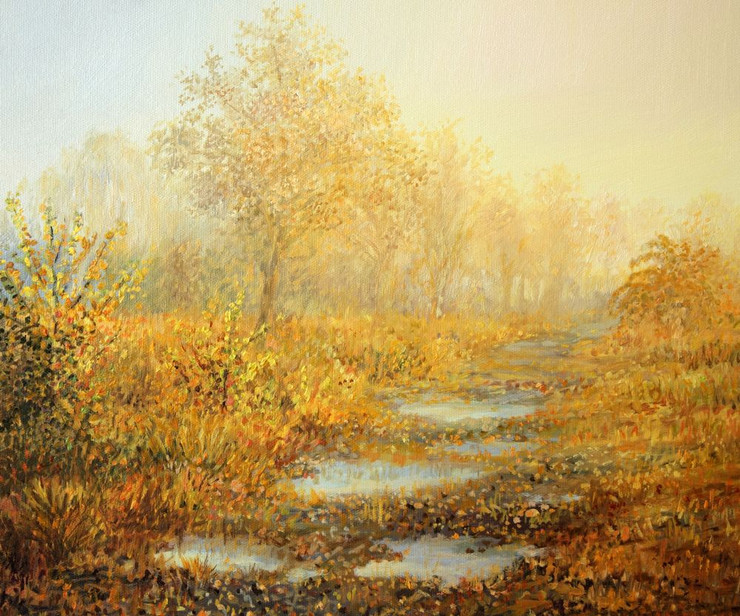 landscape, forest, yellow forest, yellow trees, leaves, autumn