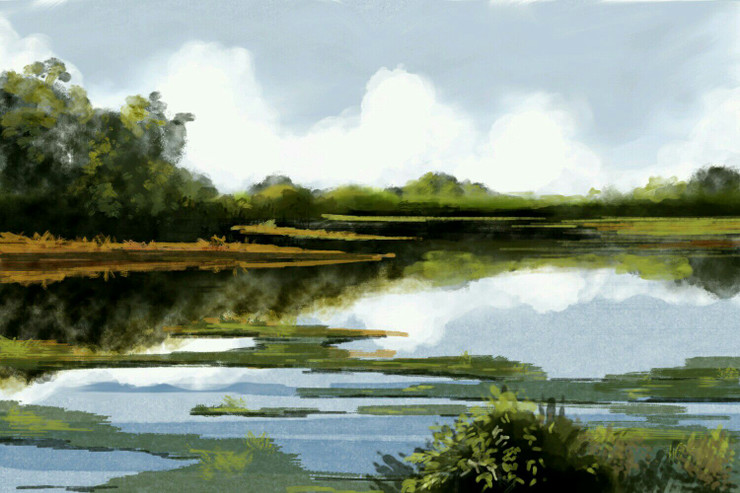 Backwater (PRT_464_55650) - Canvas Art Print - 30in X 20in