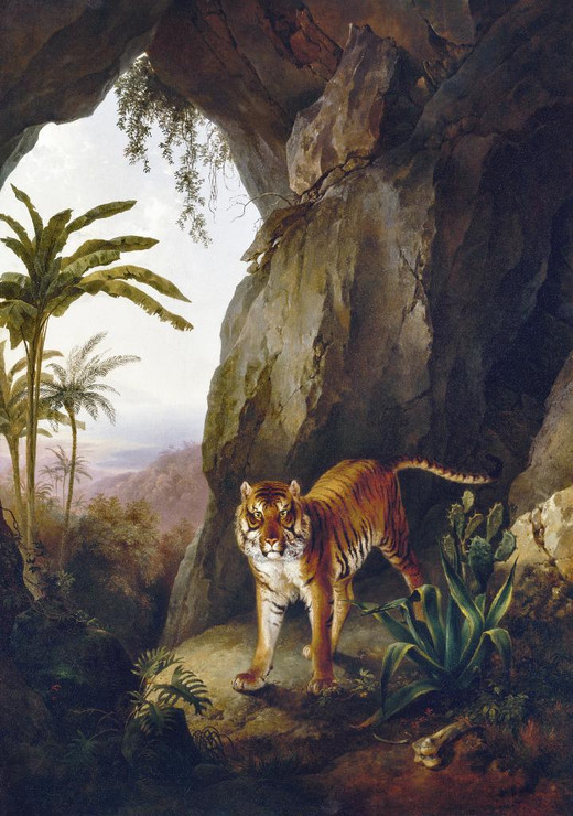 Tiger In A Cave By Jacques Laurent Agasse (PRT_8094) - Canvas Art Print - 14in X 20in