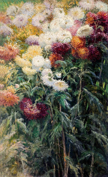 Chrysanthemums In The Garden At Petit‚ÄìGennevilliers (1893) By Gustave Caillebotte (PRT_8282) - Canvas Art Print - 15in X 24in