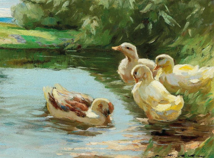 Ducks In The Water By Demeter Koko (PRT_8868) - Canvas Art Print - 22in X 16in