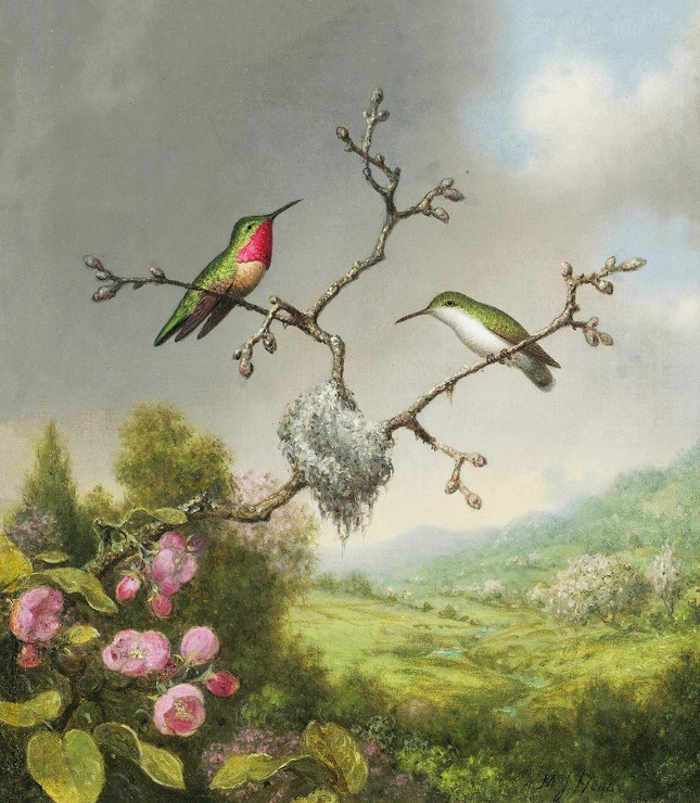 Hummingbirds And Apple Blossoms By Martin Johnson Heade (PRT_9469) - Canvas Art Print - 19in X 22in