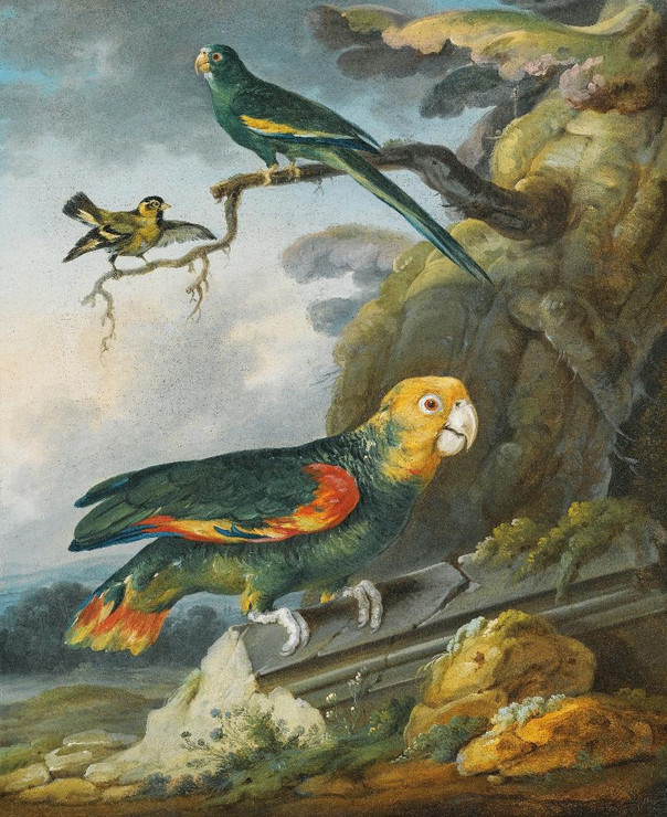 A Parrot, A Perroquet And A Gold Finch At The Base Of A Tree By Christophe Huet (PRT_9485) - Canvas Art Print - 20in X 24in