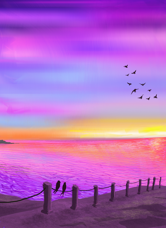 Sea and birds -digital (PRT_8025_59185) - Canvas Art Print - 35in X 48in