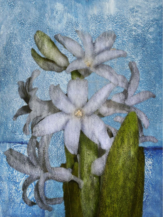 Flower,Floral,Flower Bunch,White Flower Bunch