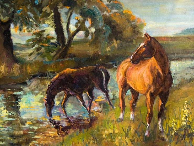 horse, two horses, brown horses, horse near water, horses drinking water