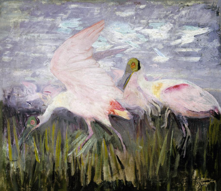 Roseate Spoonbills, Study For Book Concealing Coloration In The Animal Kingdom By Abbott Handerson Thayer (PRT_9784) - Canvas Art Print - 33in X 28in