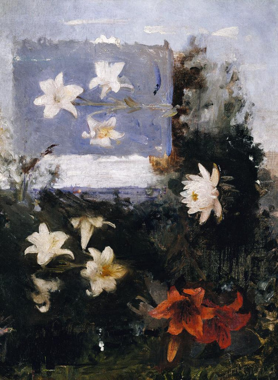 Flower Studies By Abbott Handerson Thayer (PRT_9785) - Canvas Art Print - 27in X 36in