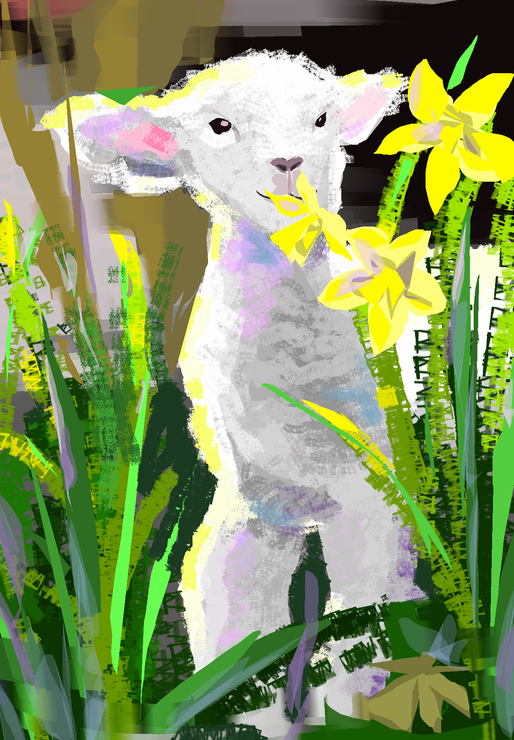 Lamb baby - digital (PRT_8025_59377) - Canvas Art Print - 45in X 65in
