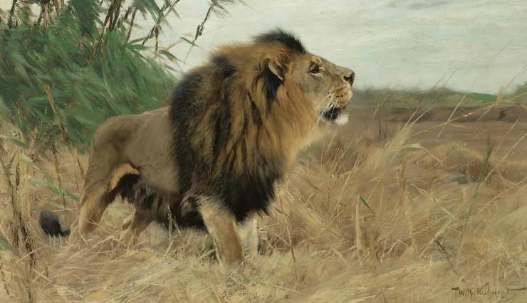 Beberl√∂we (Berber Lion) By Wilhelm Kuhnert (PRT_9826) - Canvas Art Print - 24in X 14in