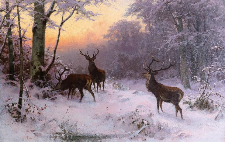 Wild Im Winterwald (1874) By Arthur Thiele (PRT_9854) - Canvas Art Print - 30in X 19in