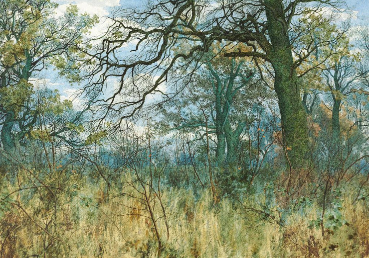 Trees And Undergrowth (1885) By Garden William Fraser (PRT_10388) - Canvas Art Print - 31in X 22in