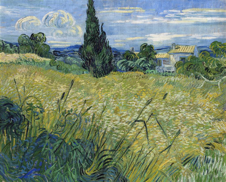 Vincent Van Gogh's Green Wheat Field With Cypress (1889) (PRT_10503) - Canvas Art Print - 35in X 28in