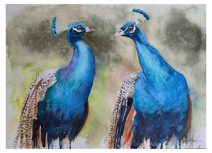 Peacock In Couple (ART_8295_60572) - Handpainted Art Painting - 20in X 14in
