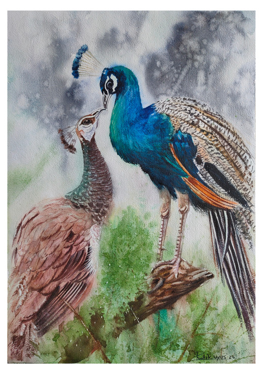 Peacock in couple (ART_8295_60541) - Handpainted Art Painting - 14in X 20in