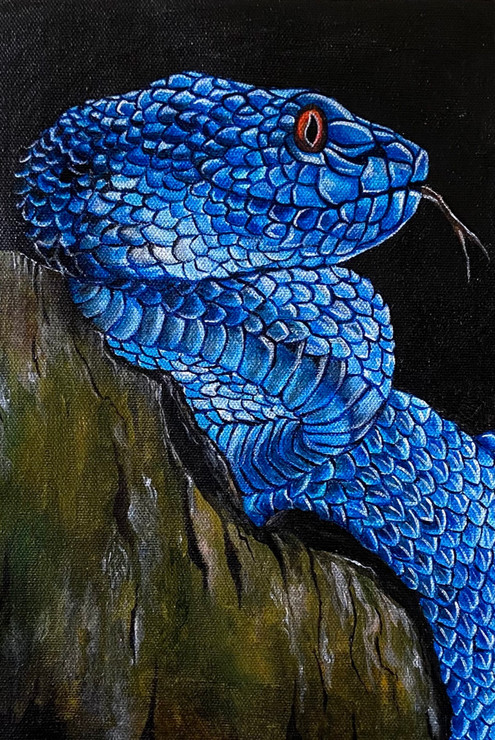 Natures trap- realistic snake in acrylic  (ART_7283_60710) - Handpainted Art Painting - 7in X 10in