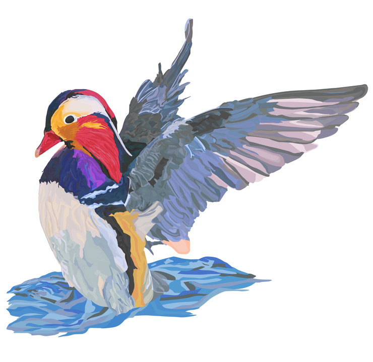 BIRD PORTRAIT (PRT_8044_56660) - Canvas Art Print - 11in X 10in