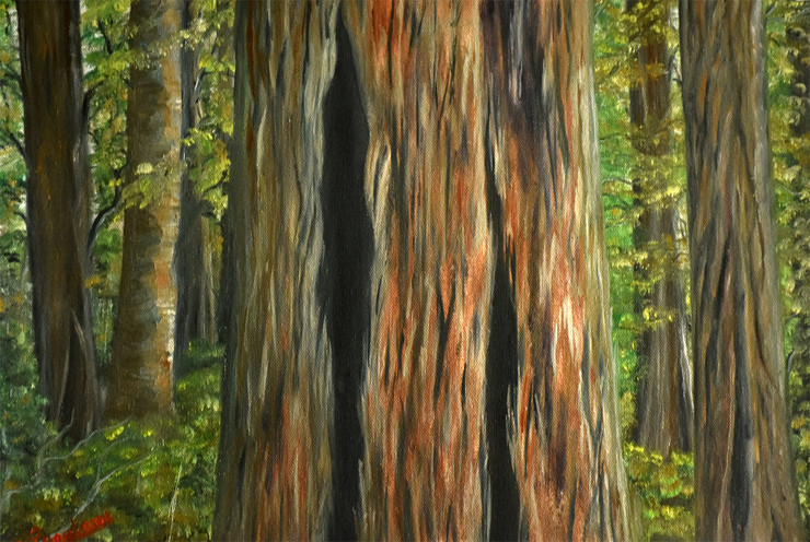 Forest Landscape Oil Painting (ART_976_6460) - Handpainted Art Painting - 17in X 12in