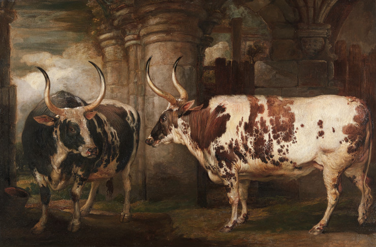 Portraits Of Two Extraordinary Oxen, The Property Of The Earl Of Powis (1814) By James Ward (PRT_10801) - Canvas Art Print - 18in X 12in