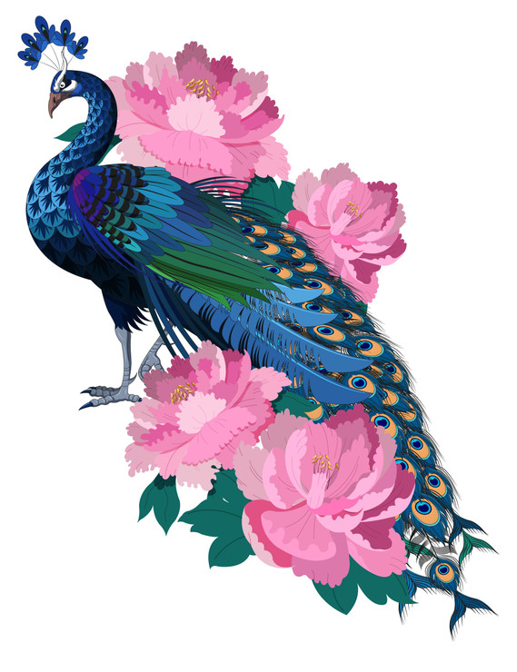 Peacock Minimalist Decorative (PRT_8268_61579) - Canvas Art Print - 24in X 31in