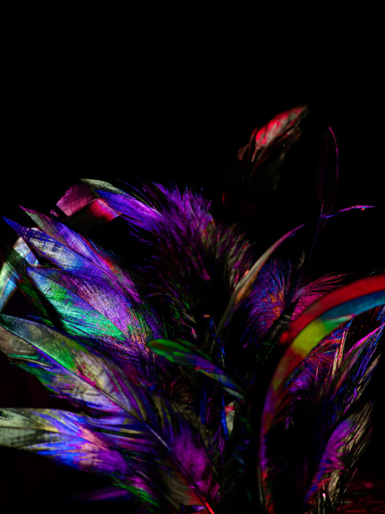 Abstract  Feathers Beautiful Energy 4 (PRT_7809_62844) - Canvas Art Print - 36in X 48in