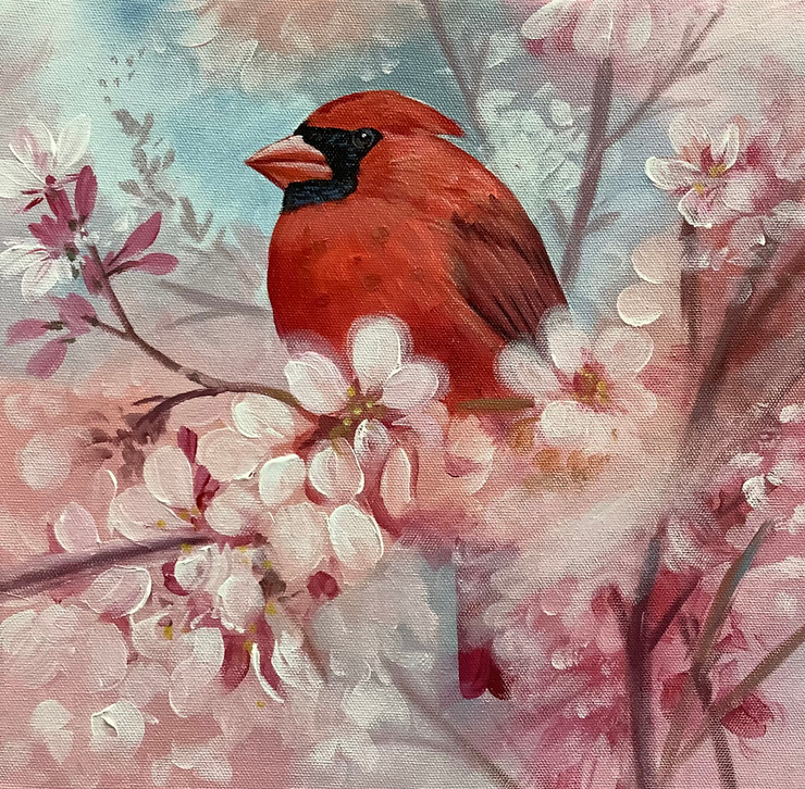 CARDINAL BIRD BY ARTOHOLIC (ART_3319_63539) - Handpainted Art Painting - 24in X 24in
