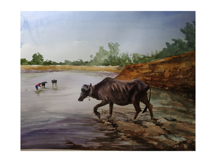 Buffalo (ART_7901_64542) - Handpainted Art Painting - 28in X 22in