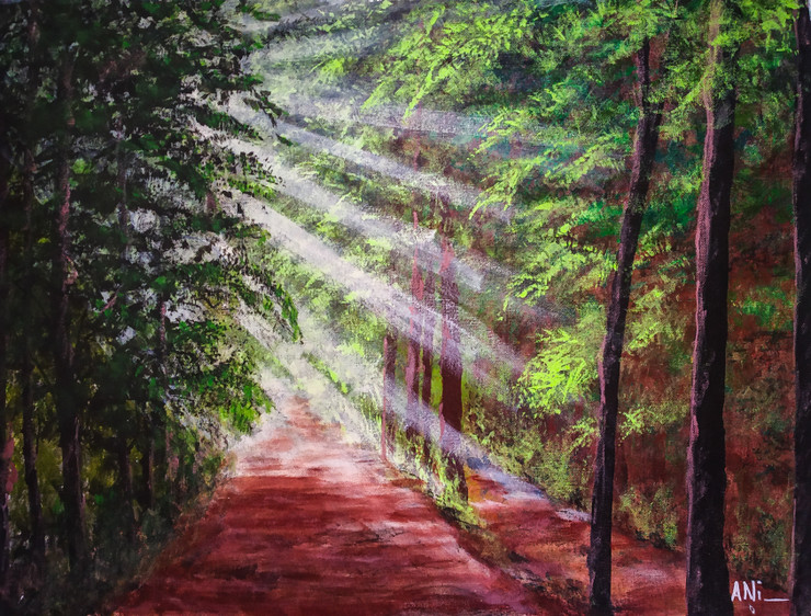 Pathway in forrest lightened by sunrays (ART_8466_64618) - Handpainted Art Painting - 24in X 18in