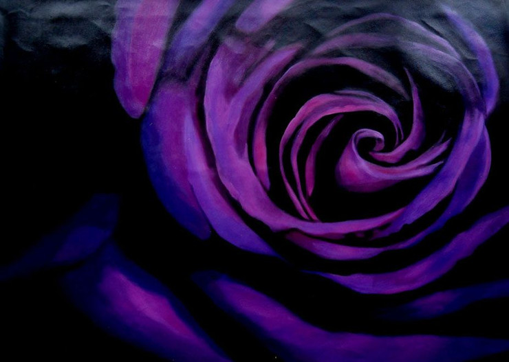 Flower,Floral,Blue,Violet Rose,King of Flower