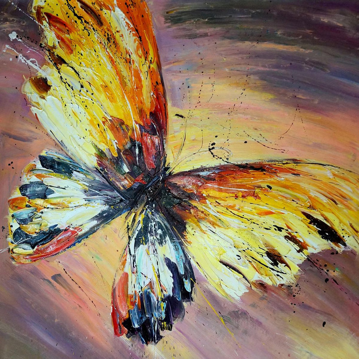 Butterfly,Inset,Beautiful Butterfly