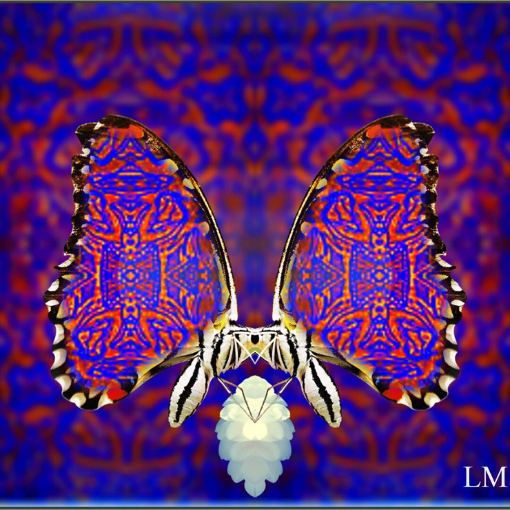 Butterfly Effect (ART_8537_65956) - Handpainted Art Painting - 4in X 11in