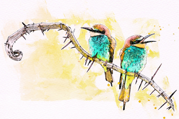 Bee-Eater_Bird (PRT_7809_66962) - Canvas Art Print - 32in X 21in