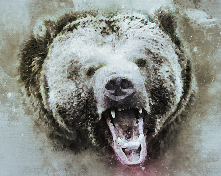 Bear Grizzly  (PRT_7809_66961) - Canvas Art Print - 30in X 24in