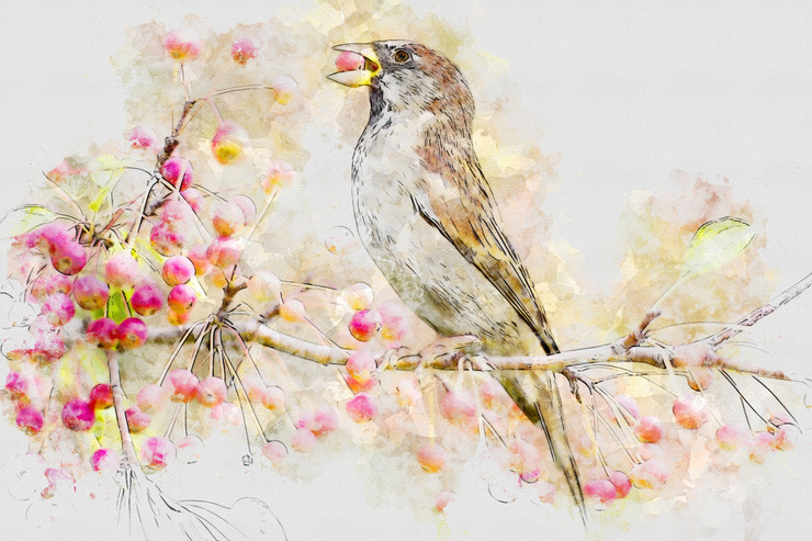Bird Autumn Fall  Tree (PRT_7809_67218) - Canvas Art Print - 30in X 20in
