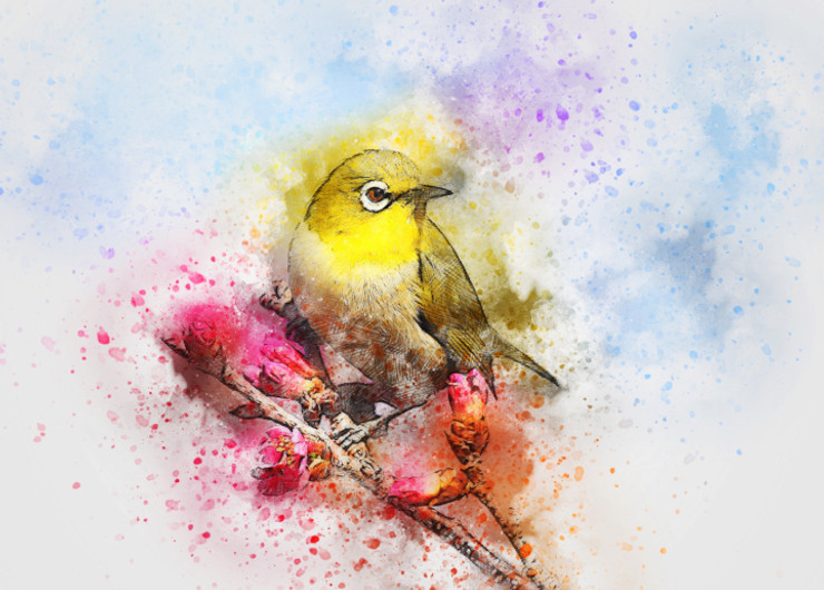 Bird Animal   (PRT_7809_67201) - Canvas Art Print - 31in X 22in