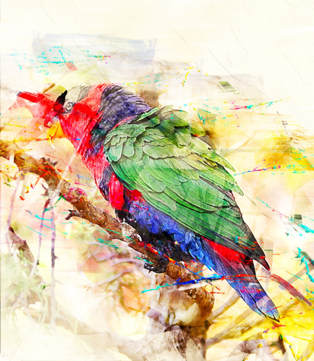 Bird Parrot  (PRT_7809_67363) - Canvas Art Print - 24in X 27in