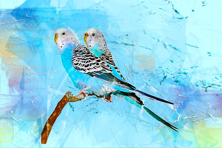 Bird Parrot  (PRT_7809_67358) - Canvas Art Print - 27in X 18in