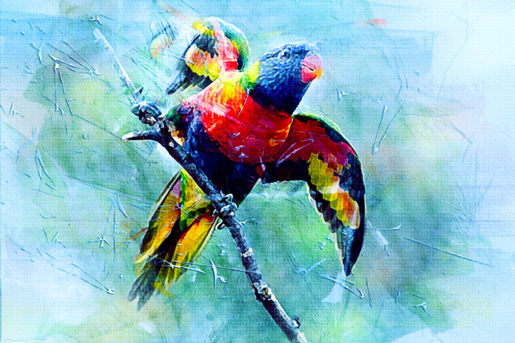 Bird Parrot  (PRT_7809_67356) - Canvas Art Print - 27in X 18in